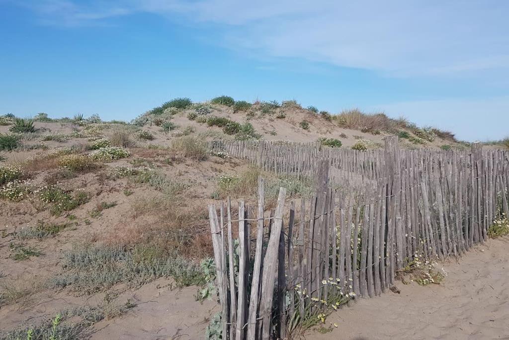 Marseillan-Plage Appartement Coeur De Sable المظهر الخارجي الصورة